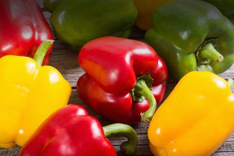 Subsidie voor onderzoek naar resistente paprika Subsidie voor onderzoek naar resistente paprika
