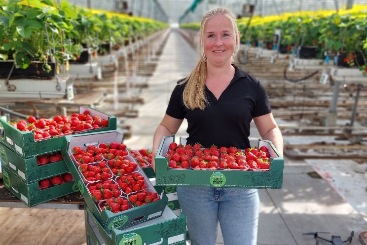 Inspire-aardbeien veroveren de wereld Inspire-aardbeien veroveren de wereld