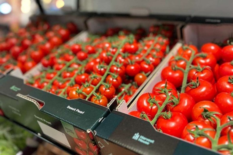Zes nieuwe trostomaten Zes nieuwe trostomaten