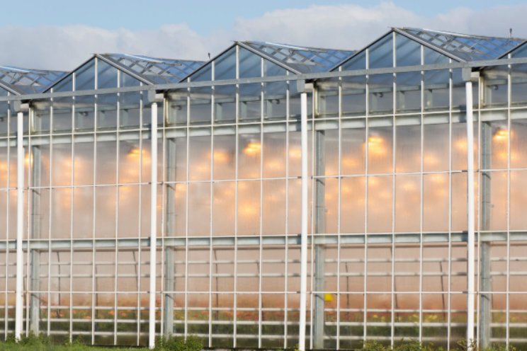 Zorgen om de tuinbouw (2) Zorgen om de tuinbouw (2)