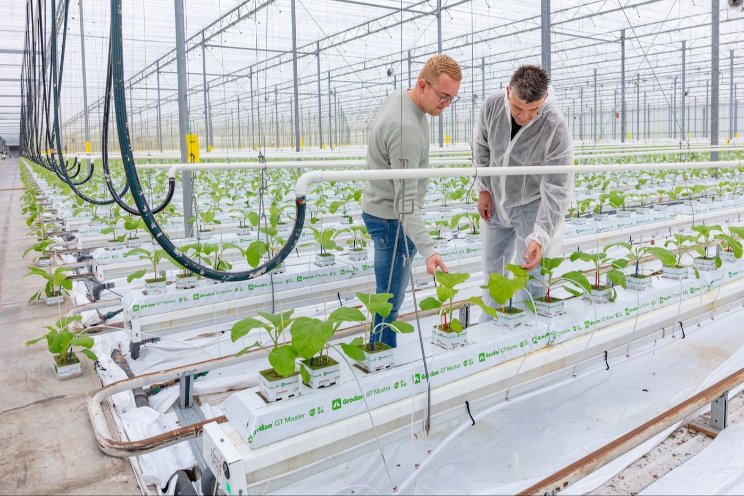 'Chemische middelen volledig uitfaseren'