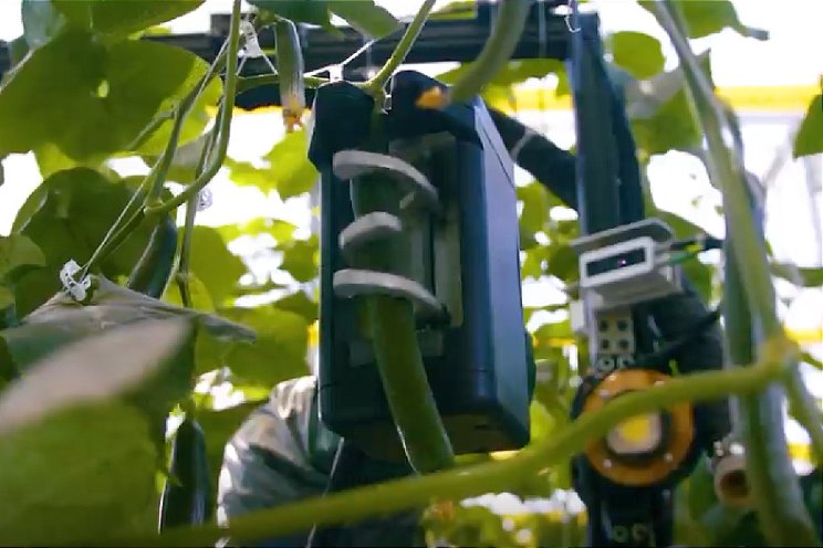 Robot oogst komkommers