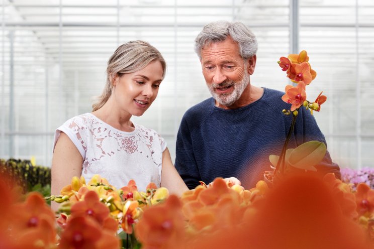 Cao-akkoord tuinbouw: lonen minimaal 7,2% hoger