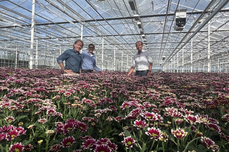 Samenwerking Van Iperen met Royal Van Zanten Samenwerking Van Iperen met Royal Van Zanten