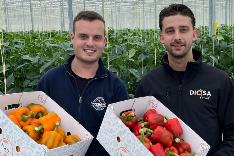 Paprikaseizoen van start