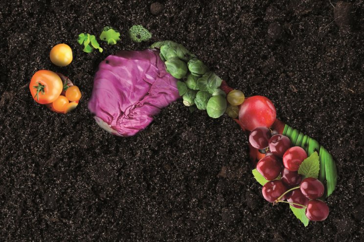 Input gevraagd voor FreshProduce PEFCR Input gevraagd voor FreshProduce PEFCR