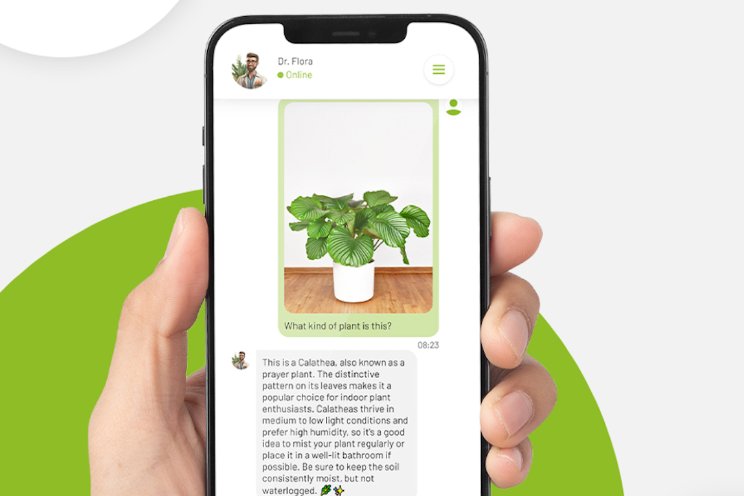 24/7 AI-Plantendokter 24/7 AI-Plantendokter