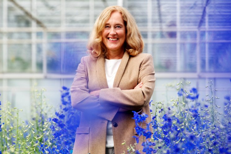 'Langdurige onzekerheid door kabinetsval'
