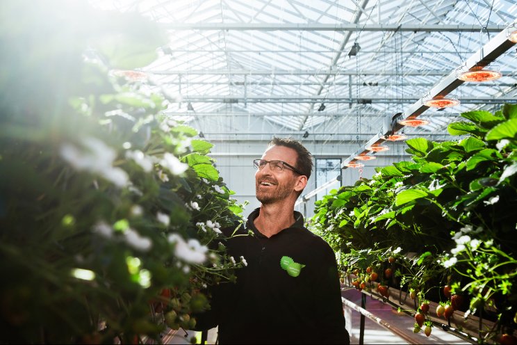 Van der Avoird Trayplant wil natuur meer ontzien