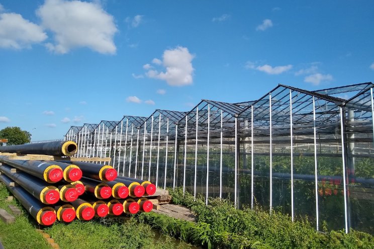 1.500 ha kassen gasvrij dankzij warmtenet 1.500 ha kassen gasvrij dankzij warmtenet
