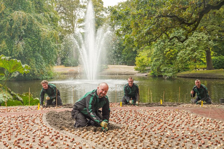 Eerste bollen de grond in voor Keukenhof 2024