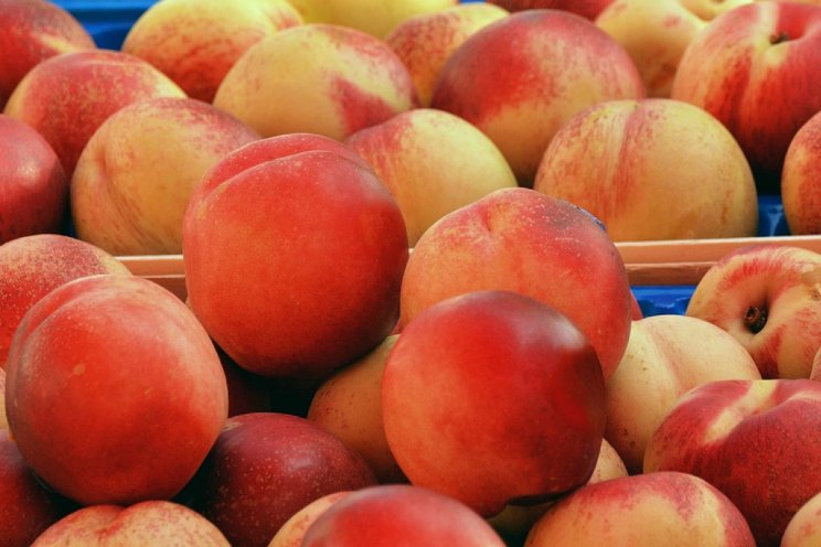 Halffabrikaten uit reststromen fruit Halffabrikaten uit reststromen fruit