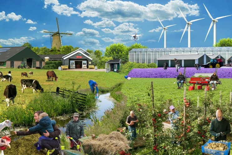 Slimme HR: Kansen en uitdagingen in AI Slimme HR: Kansen en uitdagingen in AI