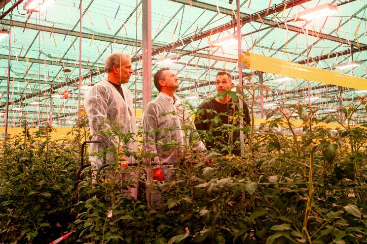 100% Groen Geteeld: 'topprestatie leveren' 100% Groen Geteeld: 'topprestatie leveren'