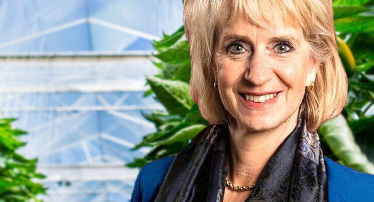 Jolanda Heistek: What’s in a name Jolanda Heistek: What’s in a name