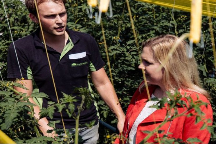 Cursus Scouten plagen in bedekte teelt (subsidie)