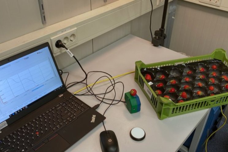 Infrarood voorspelt smaakbeleving aardbei Infrarood voorspelt smaakbeleving aardbei