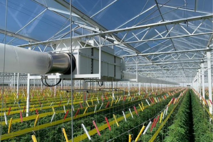 Meer belang terugwinnen latente warmte in de kas Meer belang terugwinnen latente warmte in de kas