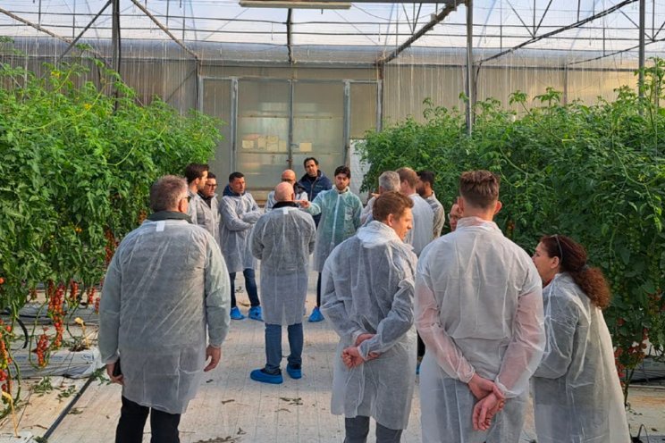 Delphy Glasgroententeam op studiereis naar Sicilië Delphy Glasgroententeam op studiereis naar Sicilië