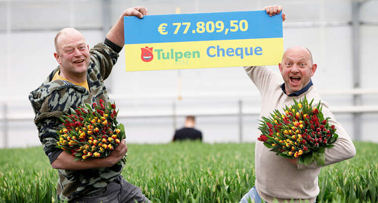 Actie met tulpen uit Oekraïne groot succes Actie met tulpen uit Oekraïne groot succes
