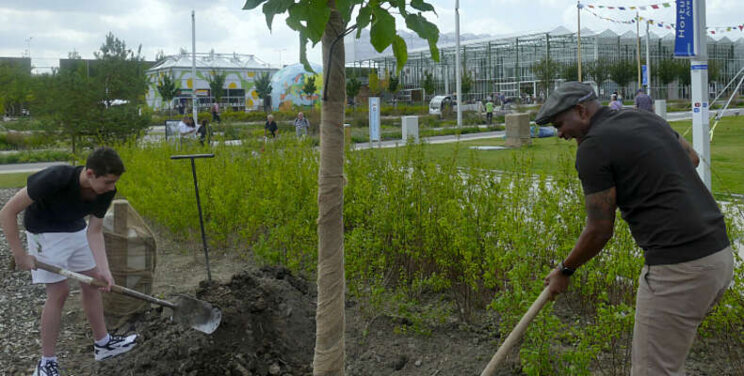 Roué Verveer plant speciale boom op de Floriade