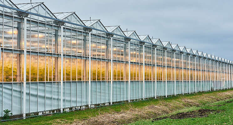 'Investeer in waterstof en groen gas' 'Investeer in waterstof en groen gas'