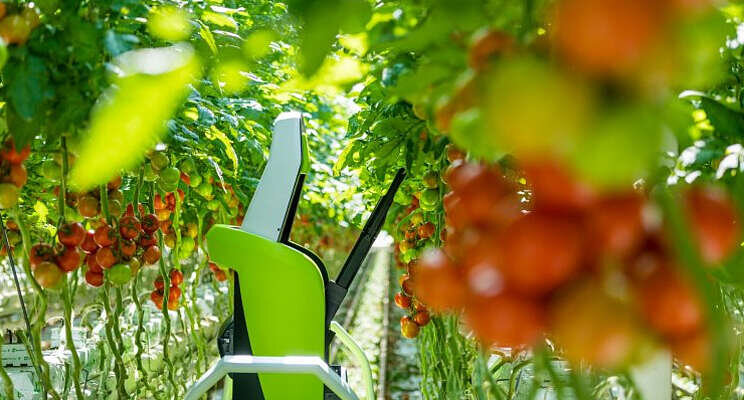 Miljoenen voor foodtech Miljoenen voor foodtech