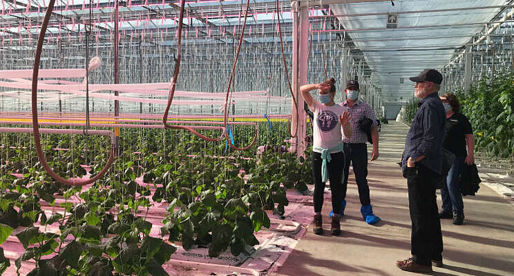 Glenwood Valley Farms geeft belichting upgrade Glenwood Valley Farms geeft belichting upgrade