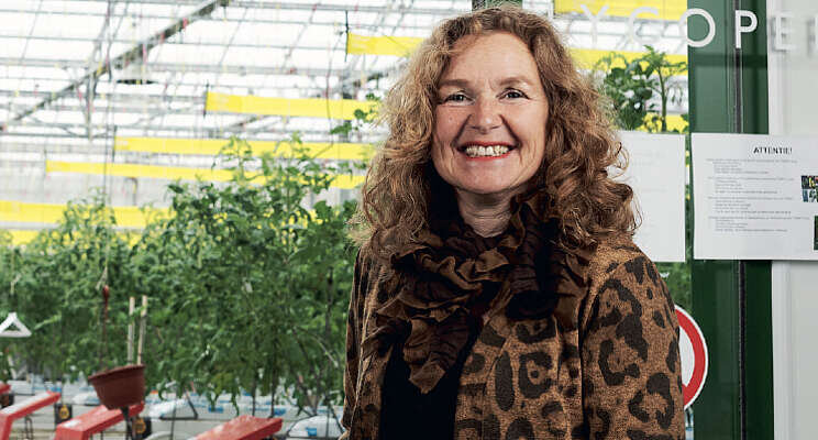Tomatoworld zoekt afnemer met een gouden hart Tomatoworld zoekt afnemer met een gouden hart