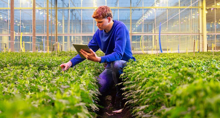 5 voordelen van samenwerking 30MHz en Eurofins Horti 5 voordelen van samenwerking 30MHz en Eurofins Horti