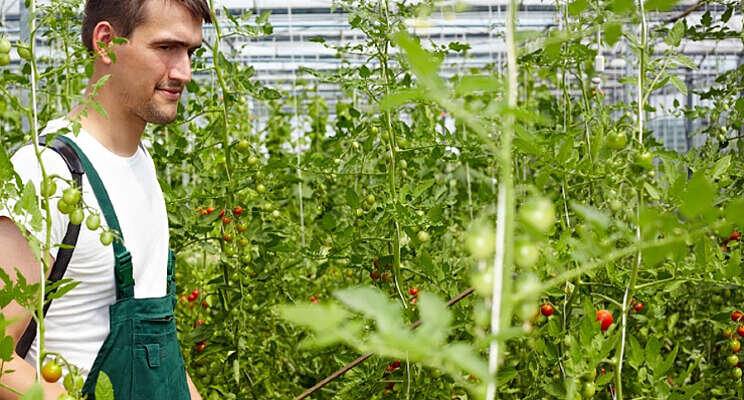 Aanmelden teeltexpert 'blok 3' Aanmelden teeltexpert 'blok 3'