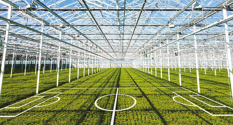 Horticoop-dag op KNVB-campus Horticoop-dag op KNVB-campus