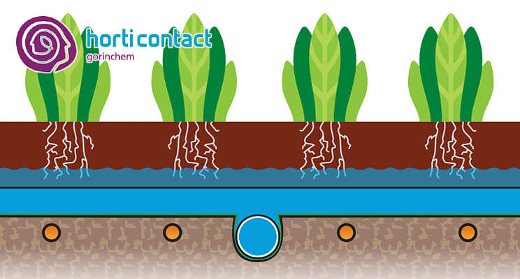 HortiContact Innovation Award - Preshow 2022: ErfGoed HortiContact Innovation Award - Preshow 2022: ErfGoed