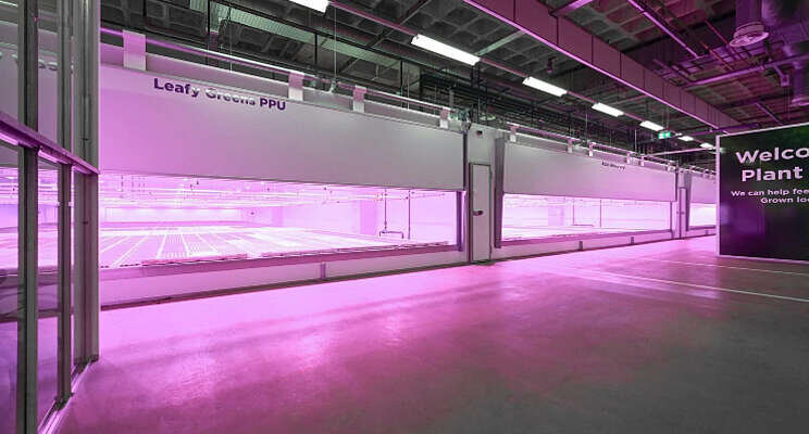 Nog eens 50 miljoen geďnvesteerd in PlantLab Nog eens 50 miljoen geďnvesteerd in PlantLab