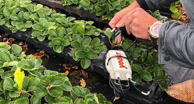 Sensor meet vitamines in groente en fruit Sensor meet vitamines in groente en fruit