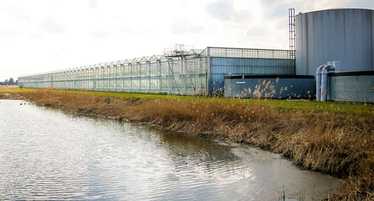 Challenge voor betere waterkwaliteit tuinbouw Challenge voor betere waterkwaliteit tuinbouw