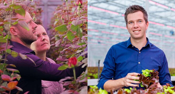 5 tips voor het telen met LED 5 tips voor het telen met LED