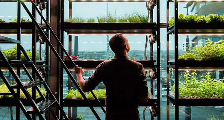 Hotel met eigen vertical farm opent deuren Hotel met eigen vertical farm opent deuren