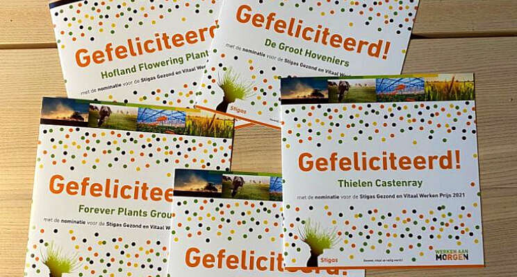 Nominatie Stigas Gezond en Vitaal Werken Prijs Nominatie Stigas Gezond en Vitaal Werken Prijs