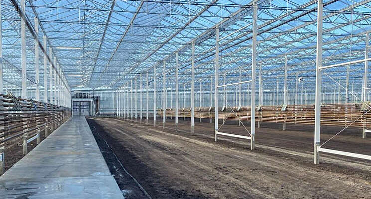 Nieuwbouw bij Drenthe Growers vordert gestaag Nieuwbouw bij Drenthe Growers vordert gestaag