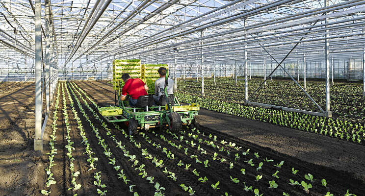 Nautilus Organic gaat in afgeslankte vorm verder Nautilus Organic gaat in afgeslankte vorm verder