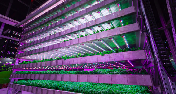 Vertical Farming Wednesday... Schotse technieken Vertical Farming Wednesday... Schotse technieken