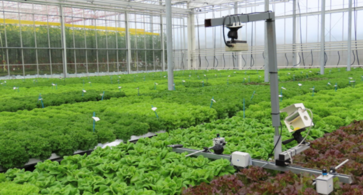 Plant Empowerment bij BASF Vegetable Seeds Plant Empowerment bij BASF Vegetable Seeds
