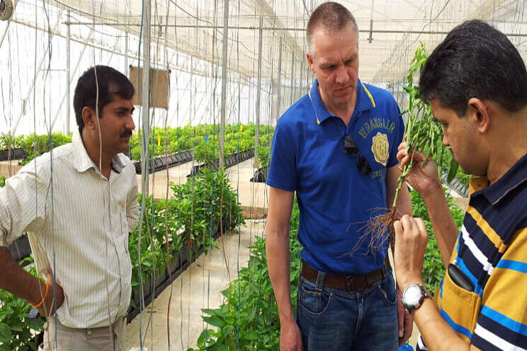 'Indiase tuinbouw is booming' 'Indiase tuinbouw is booming'