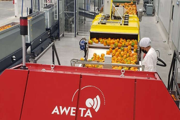 UV tegen steeltjesrot UV tegen steeltjesrot