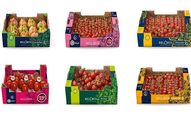 Tomaten in een nieuw jasje Tomaten in een nieuw jasje