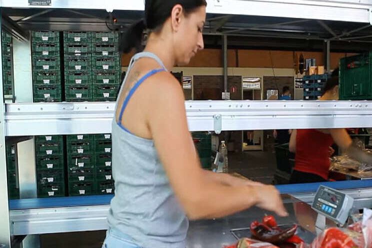 Video: Inpaklijn puntpaprika Video: Inpaklijn puntpaprika