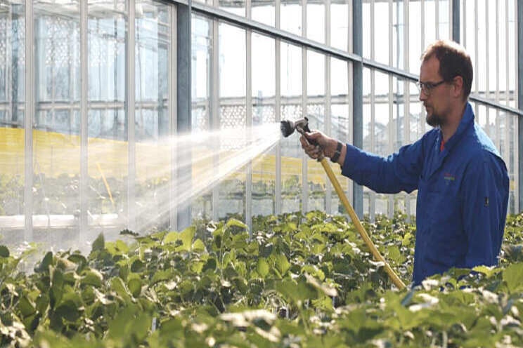 Fresh Forward naar nieuwe vestiging in NEXTgarden Fresh Forward naar nieuwe vestiging in NEXTgarden