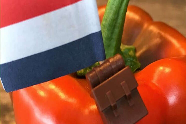 Instagram: De vlag kan uit